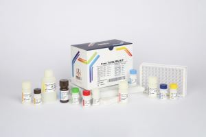 Free T4 / pishtaz teb / پیشتاز طب / کیت تشخیص طبی 